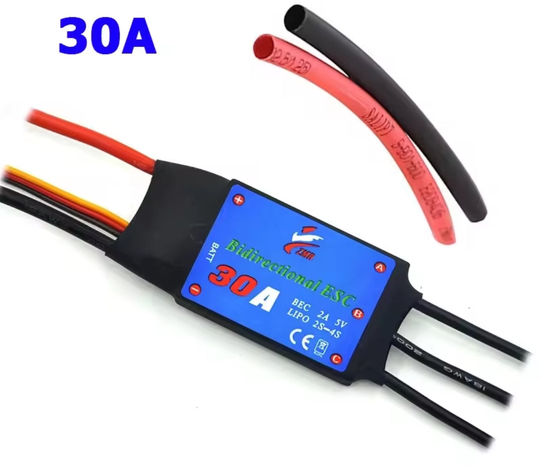 30A Borstelloze Esc
